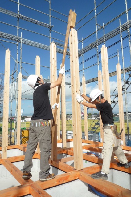 o0700105412927027989