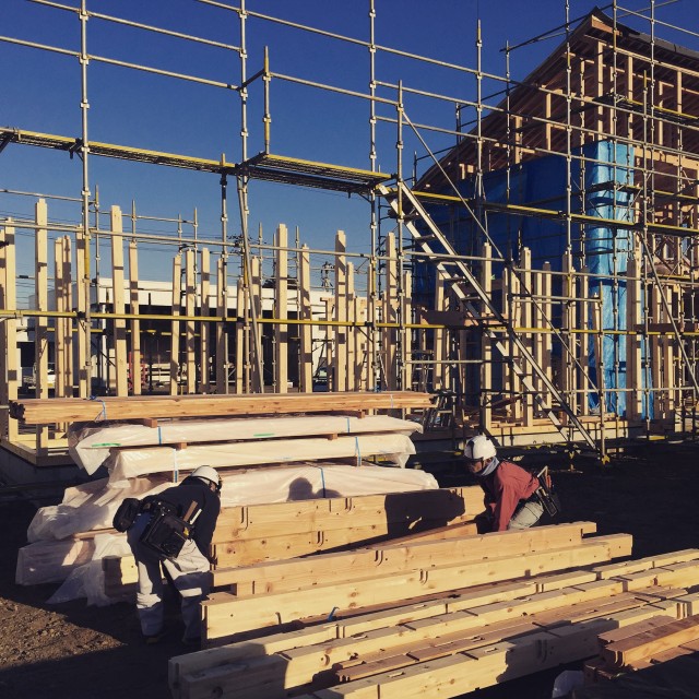 2015-12-08 08.30.24-1