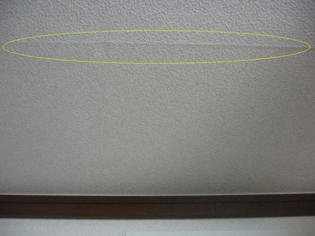 o0800060012946701343