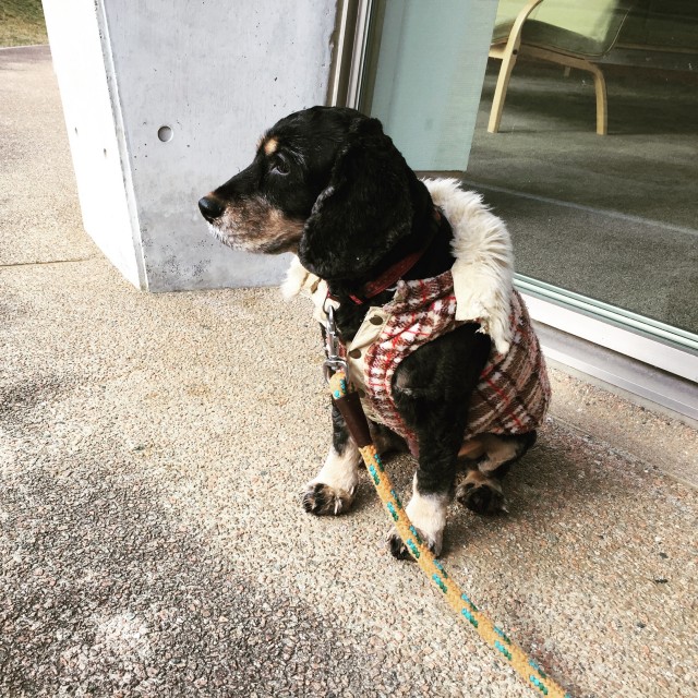 2016-01-17 09.58.37-1