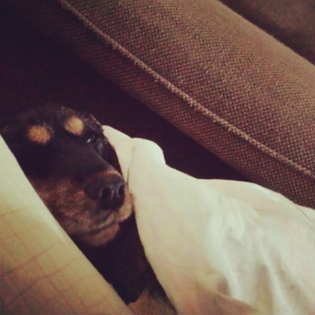 o0800080013224566920