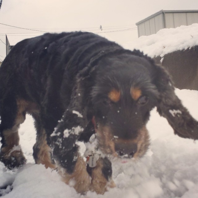 o0800080013224566921