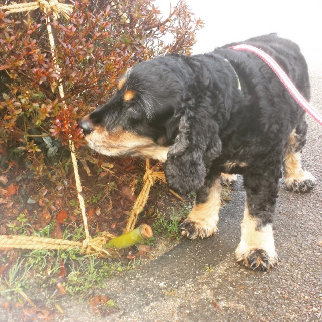 o0800080013224566922