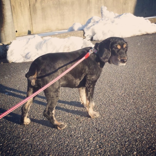 o0800080013224566923