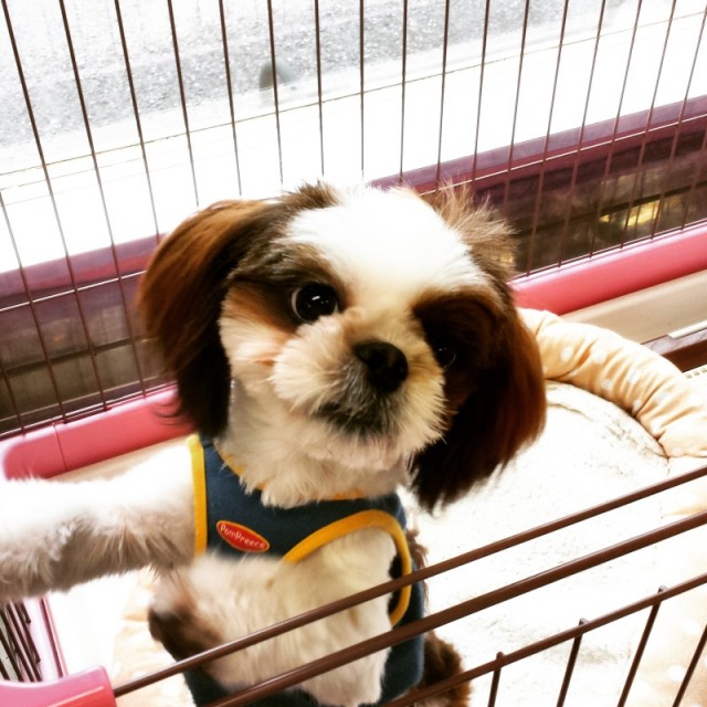 o0800080013224576196