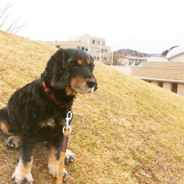 o0800080013224576197