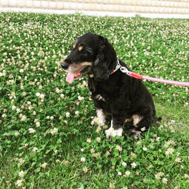 o0800080013422658673