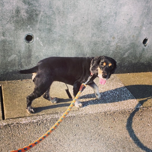 o0800080013422659064