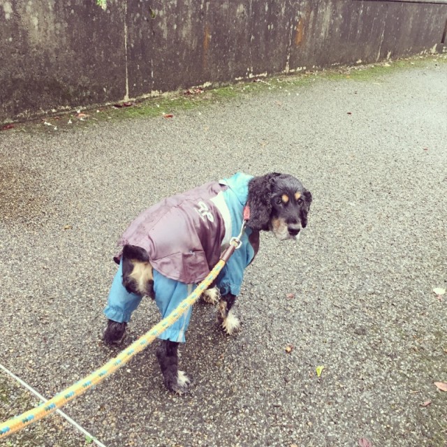 o0800080013422659065