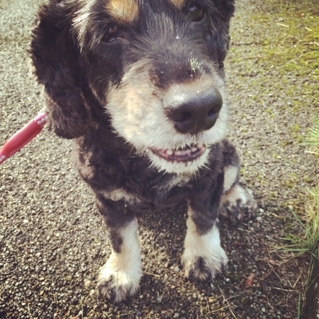 o0800080013422659066