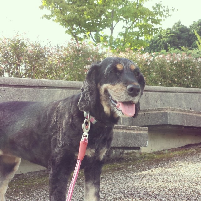 o0800080013422659067