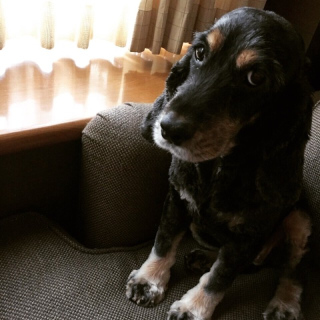 o0800080013422662750