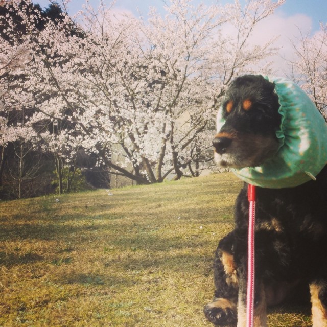 o0800080013422662751