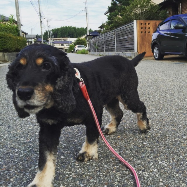 o0800080013422662752