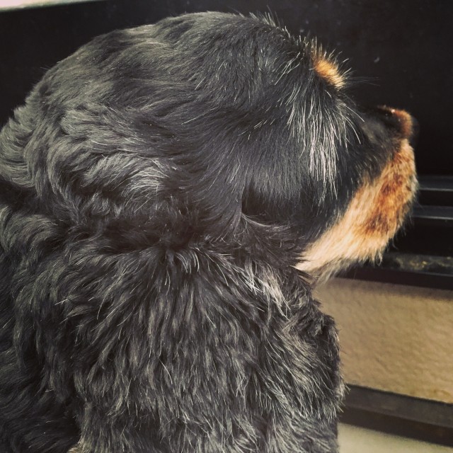 2016-02-20 07.32.39-1