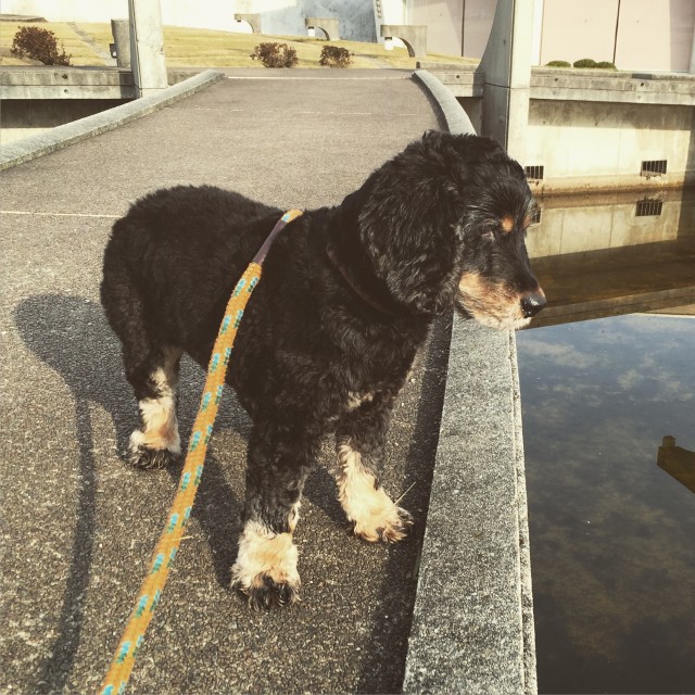 2016-03-06 08.15.07-1