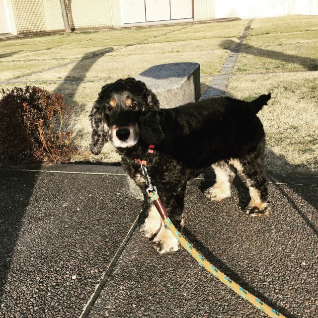 2016-03-10 07.29.44-1