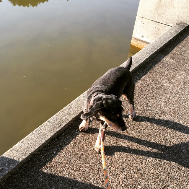 2016-03-22 07.34.01-1