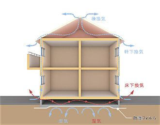 o0330025812855961182