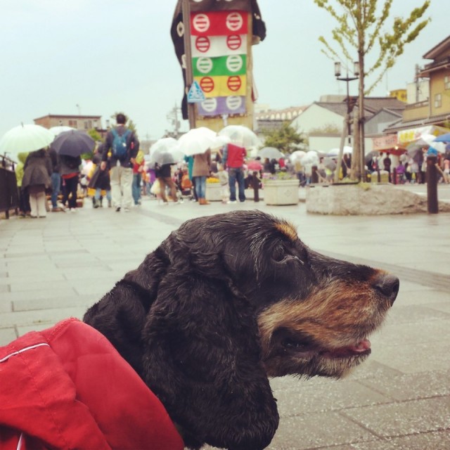 o0800080012930616171