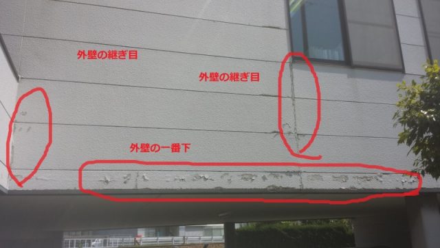 o0800045013291428721