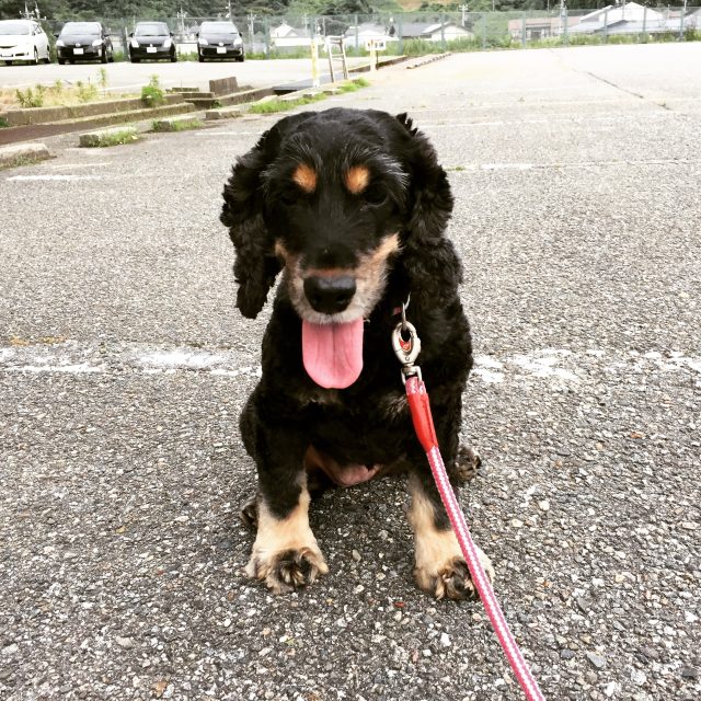 2015-06-30-18-34-33-1