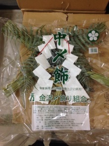 o0220029313161167443