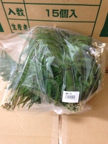 o0220029313161167444