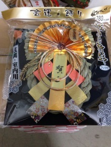 o0220029313161167445