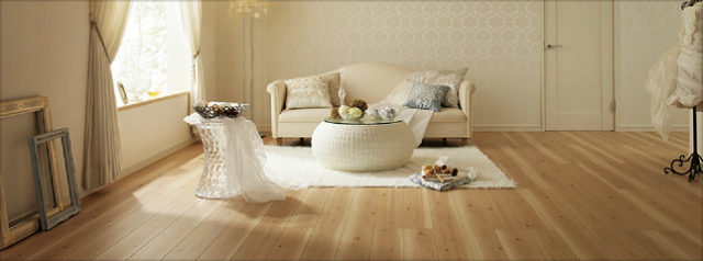 シストS スギ柄